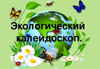 Экологический калейдоскоп