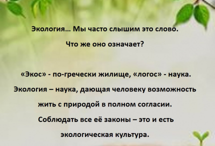 Экологический калейдоскоп