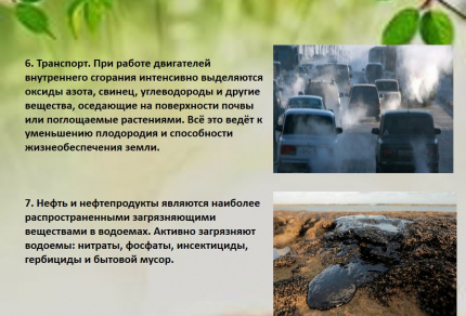 Экологический калейдоскоп