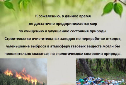 Экологический калейдоскоп