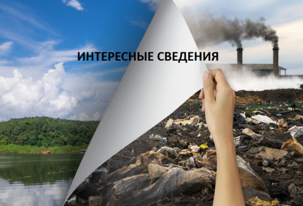 Экологический калейдоскоп
