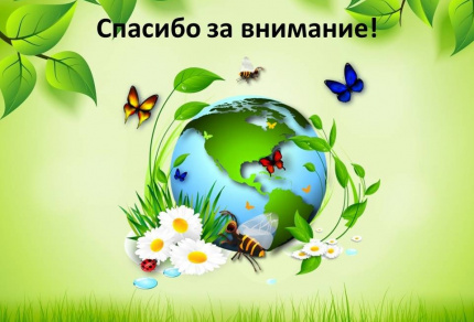 Экологический калейдоскоп